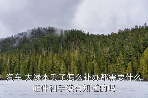 大綠本丟了怎么補(bǔ),行車(chē)證大綠本丟了怎么補(bǔ)