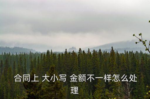  合同上 大小寫 金額不一樣怎么處理