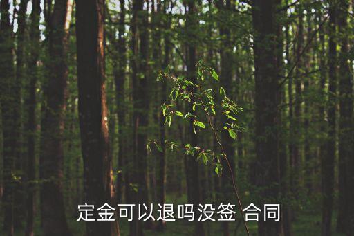 定金可以退嗎沒簽 合同