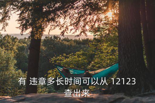 12123當(dāng)天就查到違章了,高速超速在12123當(dāng)天就查到違章了
