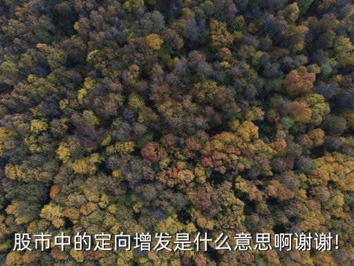 定增是什么意思,上市公司定增是什么意思