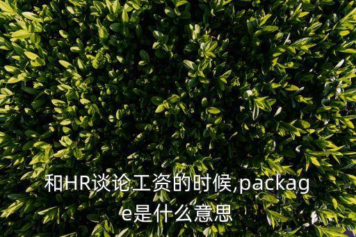 和HR談?wù)摴べY的時候,package是什么意思