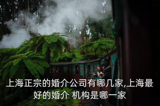 上海正宗的婚介公司有哪幾家,上海最好的婚介 機(jī)構(gòu)是哪一家