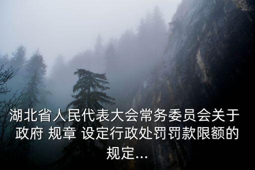 湖北省人民代表大會常務(wù)委員會關(guān)于 政府 規(guī)章 設(shè)定行政處罰罰款限額的規(guī)定...