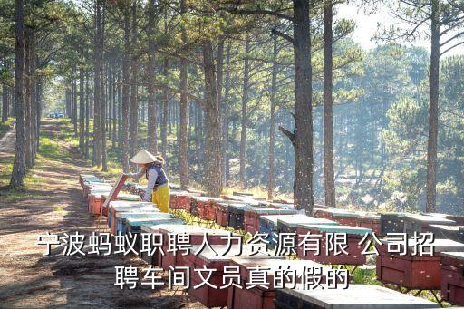  寧波螞蟻職聘人力資源有限 公司招聘車(chē)間文員真的假的