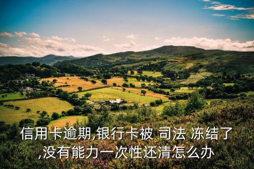 信用卡逾期,銀行卡被 司法 凍結(jié)了,沒有能力一次性還清怎么辦