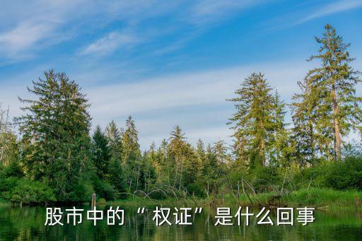 備兌權(quán)證,認(rèn)股權(quán)證和備兌權(quán)證