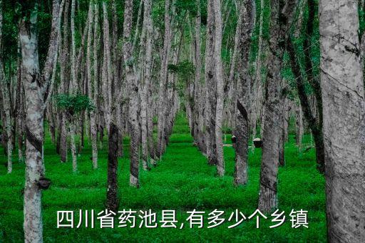 岳池縣人民政府,廣安岳池縣人民政府