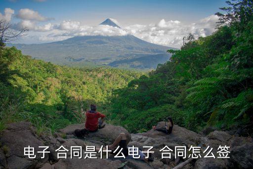 電子 合同是什么電子 合同怎么簽