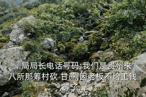 ...局局長電話號碼:我們是貴州來八所那籌村砍 甘蔗,因老板不給工錢,等了...