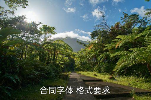 合同字體 格式要求