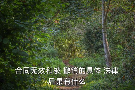 合同撤銷以后的法律后果,合同被確認(rèn)無效或撤銷的法律后果