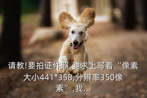 請(qǐng)教!要拍證件照,要求上寫著“像素大小441*358,分辨率350像素”,我...