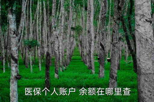  醫(yī)保個(gè)人賬戶 余額在哪里查