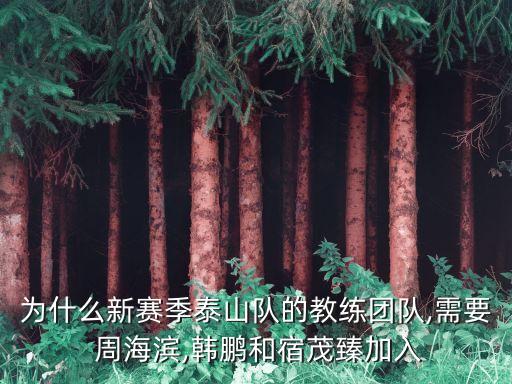 為什么新賽季泰山隊(duì)的教練團(tuán)隊(duì),需要 周海濱,韓鵬和宿茂臻加入