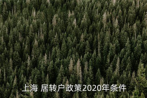 上海居轉(zhuǎn)戶(hù)
