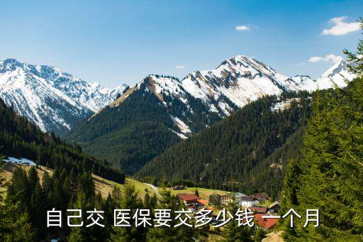 自己交 醫(yī)保要交多少錢(qián) 一個(gè)月