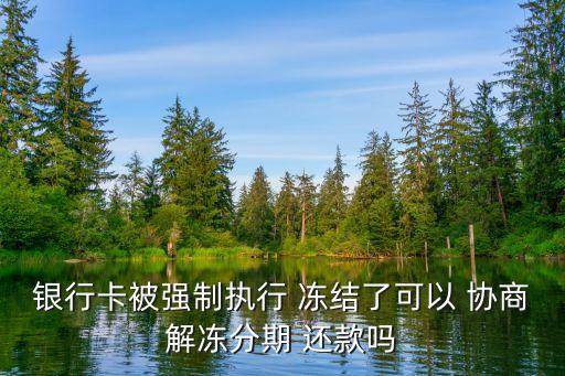 司法凍結(jié)怎么協(xié)商還款,微信零錢司法凍結(jié)怎么協(xié)商還款