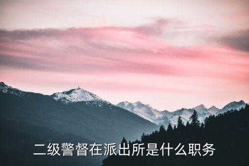 二級(jí)警督在派出所是什么職務(wù)