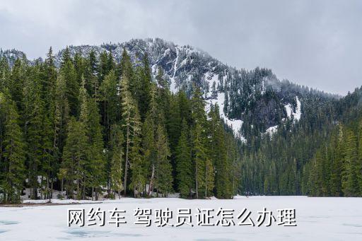 網(wǎng)約車 駕駛員證怎么辦理