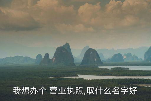 我想辦個(gè) 營(yíng)業(yè)執(zhí)照,取什么名字好