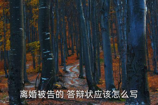 答辯狀格式,被告人寫答辯狀格式