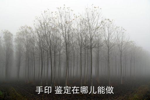 手印 鑒定在哪兒能做