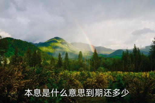 還本付息