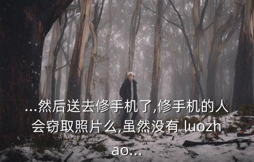 luozhao,羅兆輝公開袁詠儀照片