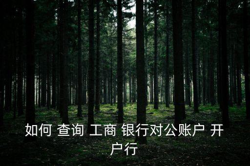 如何 查詢 工商 銀行對公賬戶 開戶行