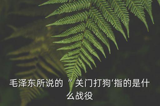毛澤東所說的“ 關(guān)門打狗‘指的是什么戰(zhàn)役