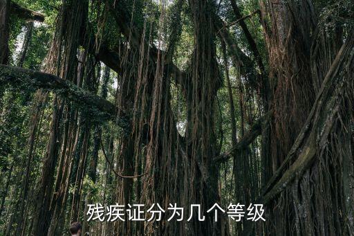 殘疾證分為幾個等級
