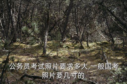  公務(wù)員考試照片要求多大,一般國考照片要幾寸的