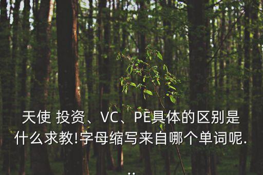 天使 投資、VC、PE具體的區(qū)別是什么求教!字母縮寫來(lái)自哪個(gè)單詞呢...