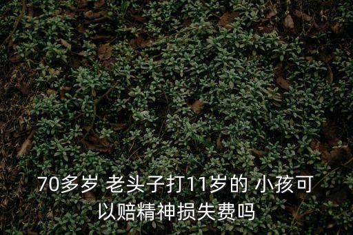 70多歲 老頭子打11歲的 小孩可以賠精神損失費(fèi)嗎
