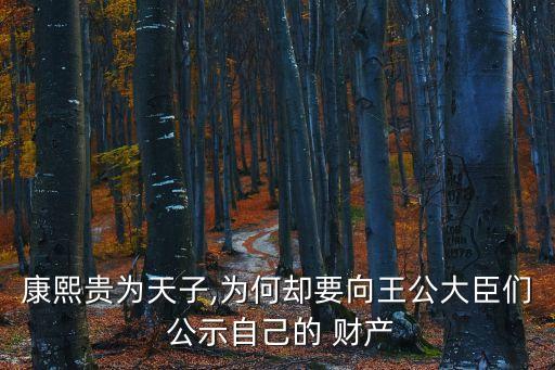 康熙貴為天子,為何卻要向王公大臣們 公示自己的 財產(chǎn)