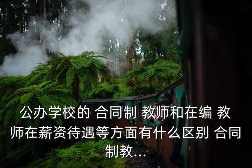 公辦學(xué)校的 合同制 教師和在編 教師在薪資待遇等方面有什么區(qū)別 合同制教...