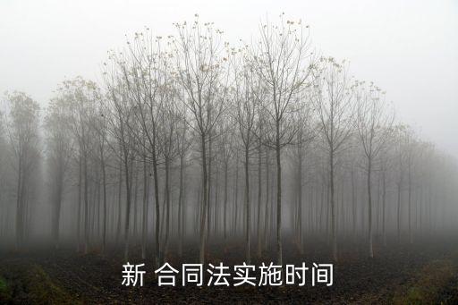 新 合同法實(shí)施時(shí)間