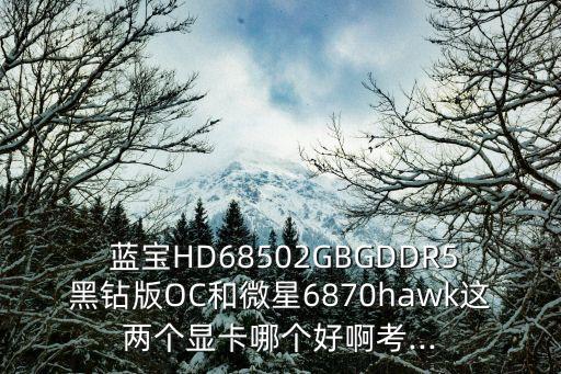  藍(lán)寶HD68502GBGDDR5黑鉆版OC和微星6870hawk這兩個(gè)顯卡哪個(gè)好啊考...