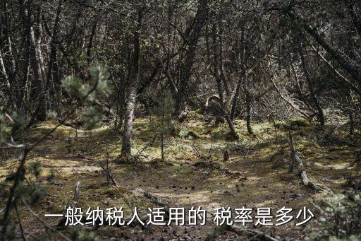 一般納稅人適用的 稅率是多少
