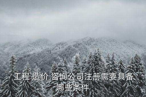  工程 造價 咨詢公司注冊需要具備哪些條件