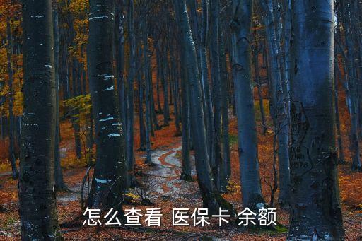 如何查詢醫(yī)保余額,支付寶如何查詢醫(yī)保余額