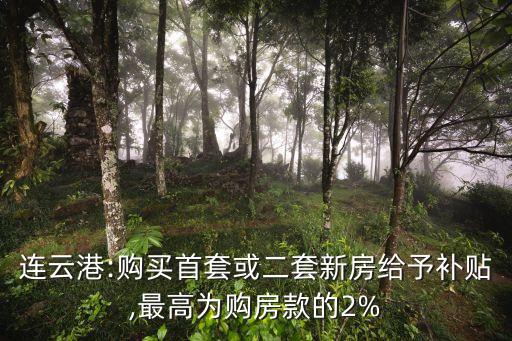 連云港:購買首套或二套新房給予補(bǔ)貼,最高為購房款的2%