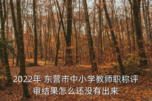 2022年 東營市中小學(xué)教師職稱評審結(jié)果怎么還沒有出來