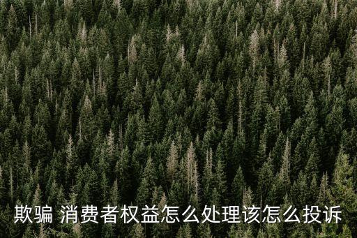 欺騙 消費(fèi)者權(quán)益怎么處理該怎么投訴