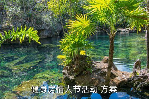 健身房情人節(jié)活動 方案