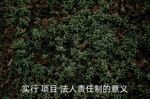 實行 項目 法人責任制的意義