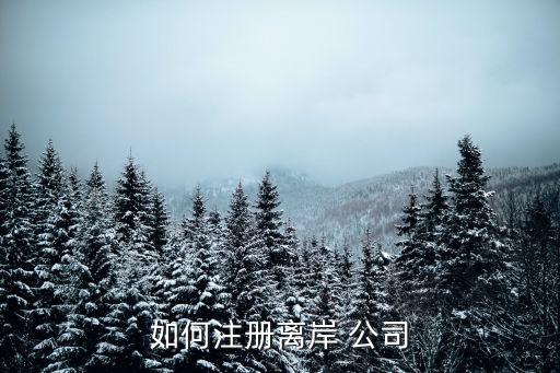 如何注冊離岸 公司