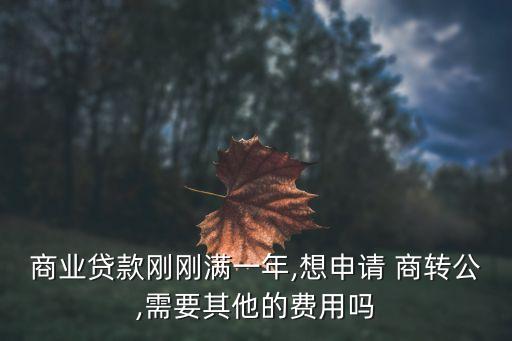 商業(yè)貸款剛剛滿一年,想申請(qǐng) 商轉(zhuǎn)公,需要其他的費(fèi)用嗎