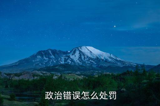  政治錯誤怎么處罰